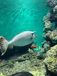 葛西臨海水族園に投稿された画像（2026/5/31）
