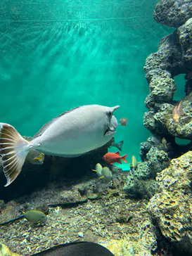 葛西臨海水族園に投稿された画像（2026/5/31）