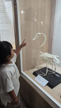 特別展「鳥 ～ゲノム解析が解き明かす新しい鳥類の系統～」に投稿された画像（2026/5/31）