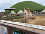 伊豆シャボテン動物公園に投稿された画像（2026/5/31）