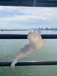 レークウエストヨットクラブに投稿された画像（2026/5/31）
