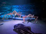 竹島水族館に投稿された画像（2026/5/31）