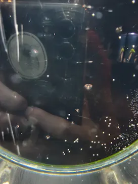 新江ノ島水族館に投稿された画像（2026/5/31）