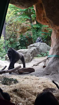 恩賜上野動物園に投稿された画像（2026/5/31）