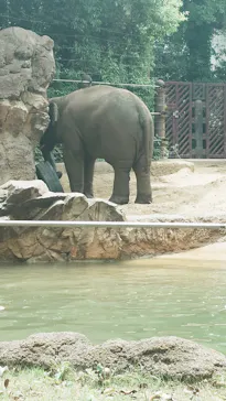 恩賜上野動物園に投稿された画像（2026/5/31）
