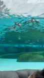 天王寺動物園に投稿された画像（2026/5/31）