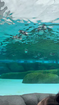 天王寺動物園に投稿された画像（2026/5/31）