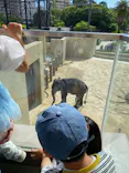 天王寺動物園に投稿された画像（2026/5/31）