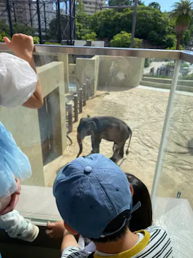 天王寺動物園に投稿された画像（2026/5/31）