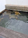 串本海中公園水族館に投稿された画像（2026/5/31）