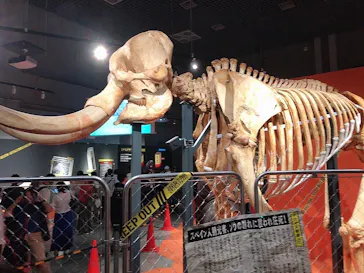 特別展「超危険生物展　科学で挑む生き物の本気」に投稿された画像（2026/5/31）