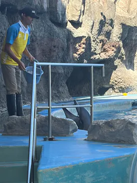 名古屋港水族館に投稿された画像（2026/5/31）