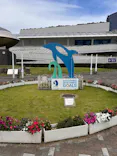 名古屋港水族館に投稿された画像（2026/5/31）