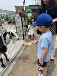 あらかわ遊園に投稿された画像（2026/5/31）