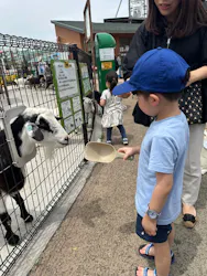 あらかわ遊園に投稿された画像（2026/5/31）