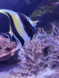 新江ノ島水族館に投稿された画像（2026/5/31）