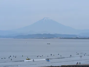 新江ノ島水族館に投稿された画像（2026/5/31）