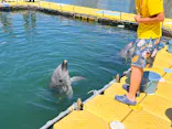 日間賀島ドルフィンビーチに投稿された画像（2026/5/31）
