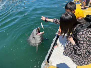 日間賀島ドルフィンビーチに投稿された画像（2026/5/31）