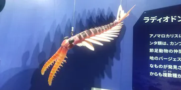 大絶滅展ー生命史のビッグファイブ（名古屋会場）に投稿された画像（2026/5/31）