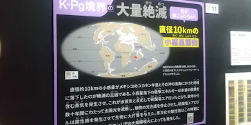 大絶滅展ー生命史のビッグファイブ（名古屋会場）に投稿された画像（2026/5/31）