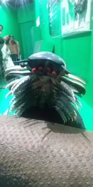 大絶滅展ー生命史のビッグファイブ（名古屋会場）に投稿された画像（2026/5/31）