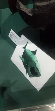 大絶滅展ー生命史のビッグファイブ（名古屋会場）に投稿された画像（2026/5/31）