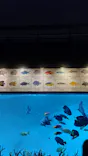 葛西臨海水族園に投稿された画像（2026/5/31）