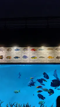 葛西臨海水族園に投稿された画像（2026/5/31）