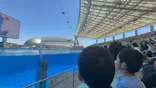 名古屋港水族館に投稿された画像（2026/5/31）