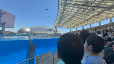 名古屋港水族館に投稿された画像（2026/5/31）