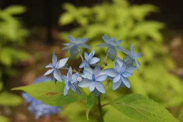 名古屋市東山動植物園に投稿された画像（2026/5/31）