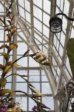 名古屋市東山動植物園に投稿された画像（2026/5/31）