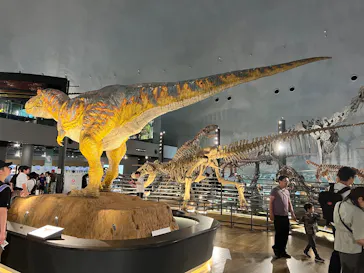 福井県立恐竜博物館に投稿された画像（2026/5/31）