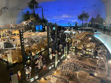 福井県立恐竜博物館に投稿された画像（2026/5/31）