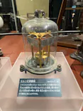 国立科学博物館に投稿された画像（2026/5/31）