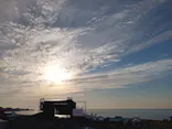芝政ワールドに投稿された画像（2026/5/31）