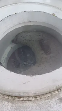 しながわ水族館に投稿された画像（2026/5/31）