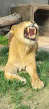宇都宮動物園に投稿された画像（2026/5/31）