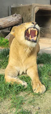 宇都宮動物園に投稿された画像（2026/5/31）