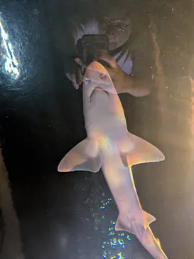竹島水族館に投稿された画像（2026/5/31）