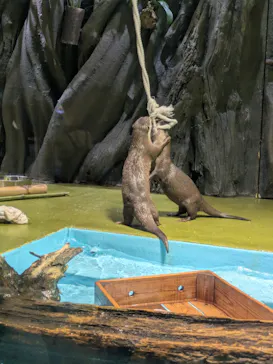 竹島水族館に投稿された画像（2026/5/31）