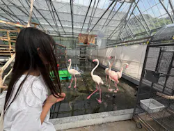 掛川花鳥園に投稿された画像（2026/5/31）