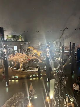 福井県立恐竜博物館に投稿された画像（2026/5/31）