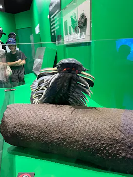 大絶滅展ー生命史のビッグファイブ（名古屋会場）に投稿された画像（2026/5/31）