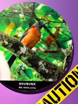 特別展「超危険生物展　科学で挑む生き物の本気」に投稿された画像（2026/5/31）