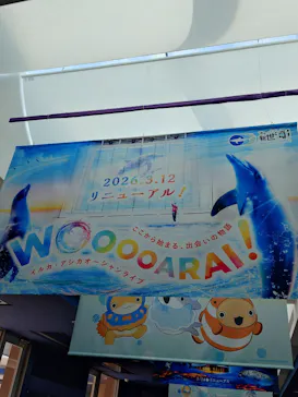 アクアワールド茨城県大洗水族館に投稿された画像（2026/5/31）
