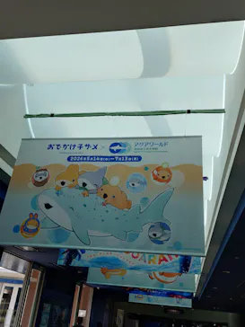 アクアワールド茨城県大洗水族館に投稿された画像（2026/5/31）