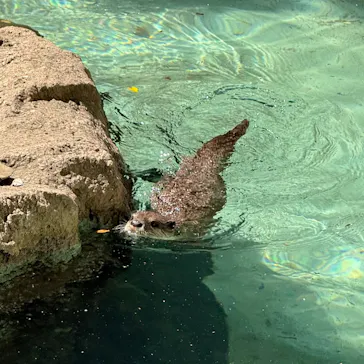 千葉市動物公園に投稿された画像（2026/5/31）