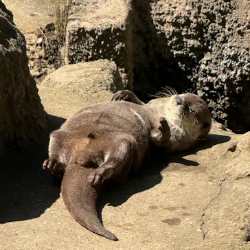千葉市動物公園に投稿された画像（2026/5/31）